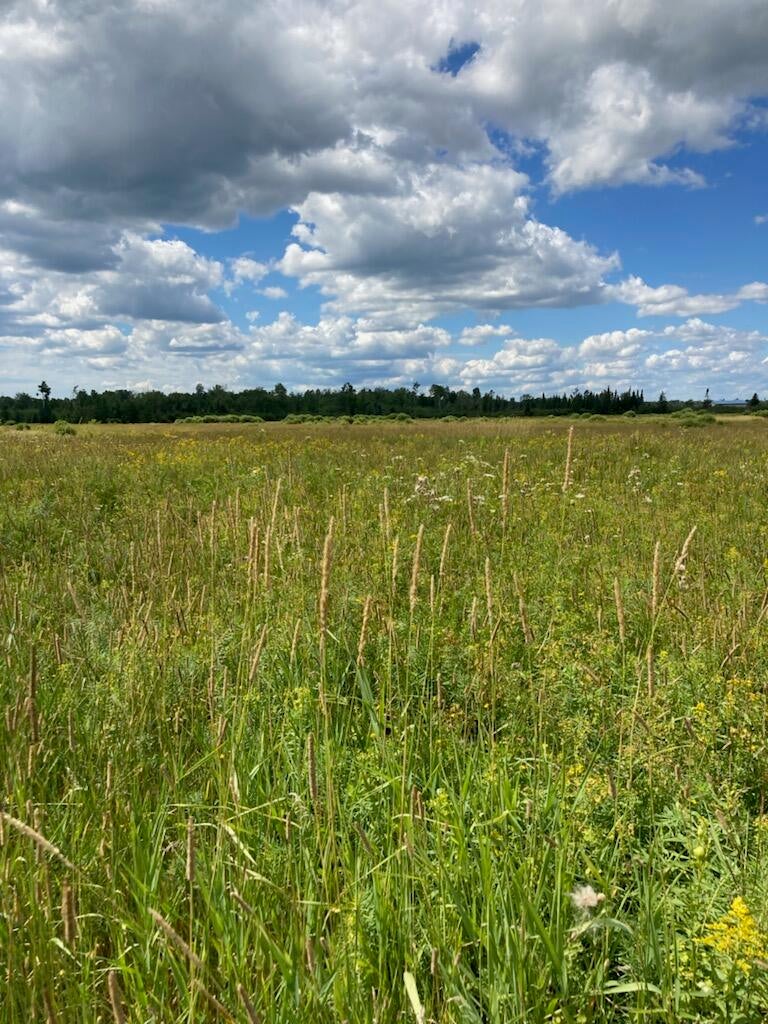 0 Everleigh Road Pickford, MI 49774 - Photo 6 of 25 Gallery Image 6