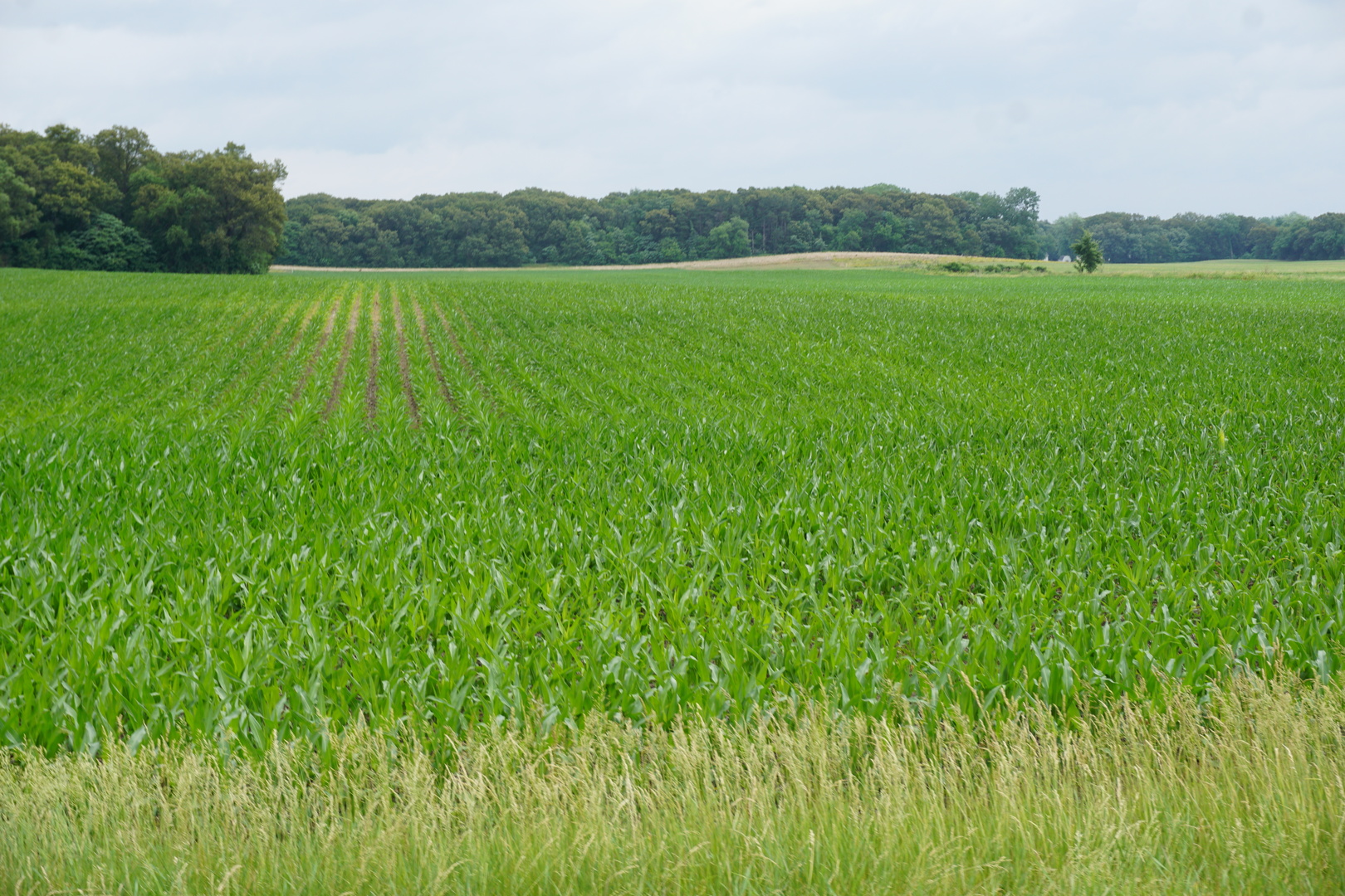 1400 North 7000 W Road Kankakee, IL 60901 - Photo 5 of 7 Gallery Image 5