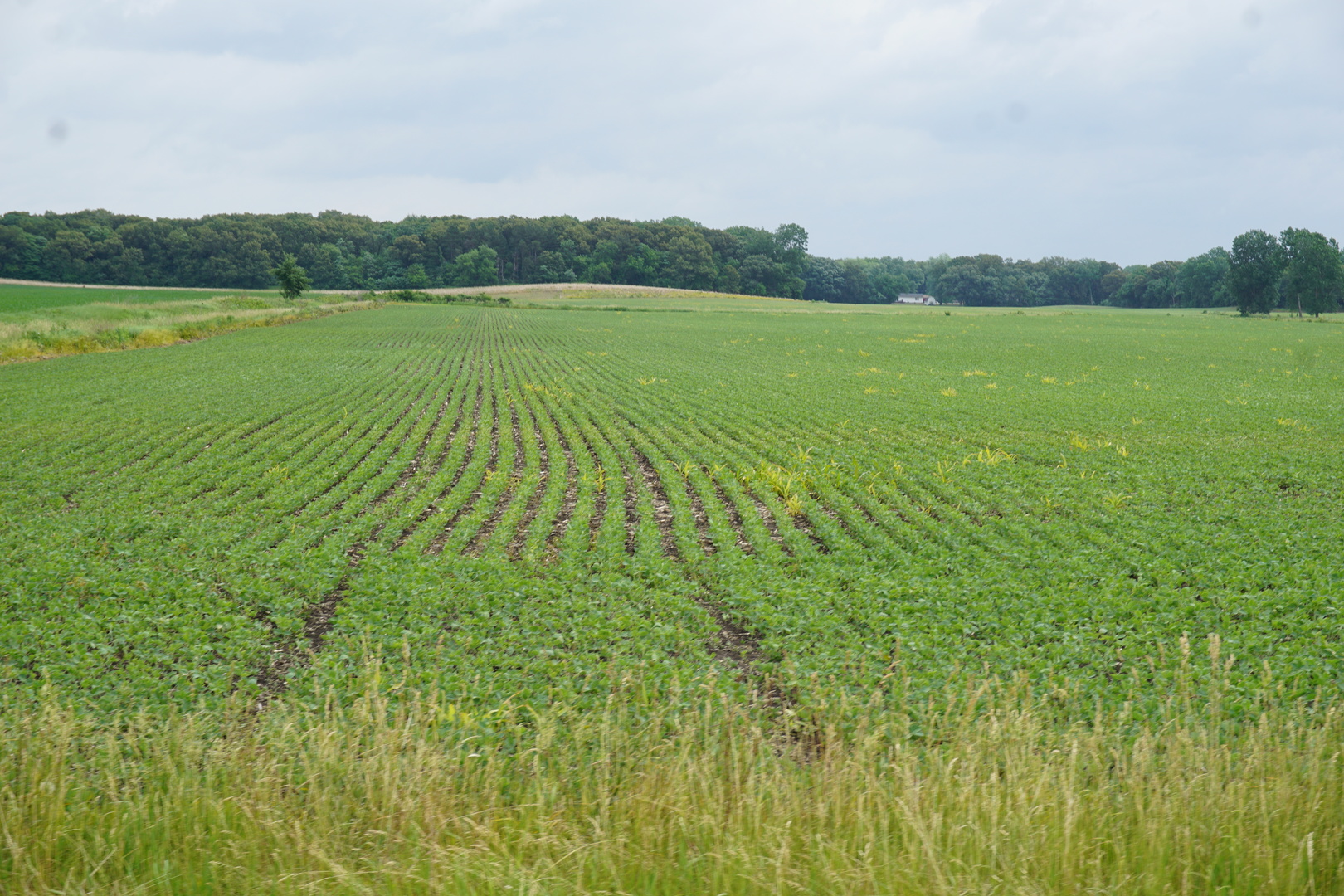1400 North 7000 W Road Kankakee, IL 60901 - Photo 7 of 7 Gallery Image 7