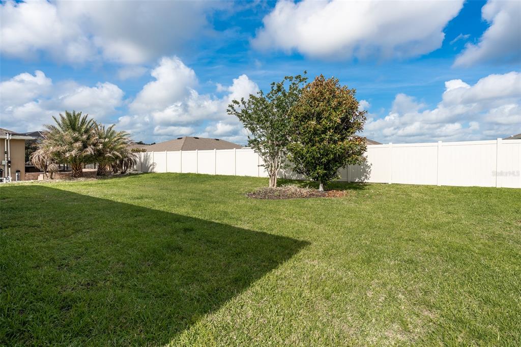 9224 Southwest 60th Ct Road Ocala, FL 34476 - Photo 46 of 55 a view of a yard