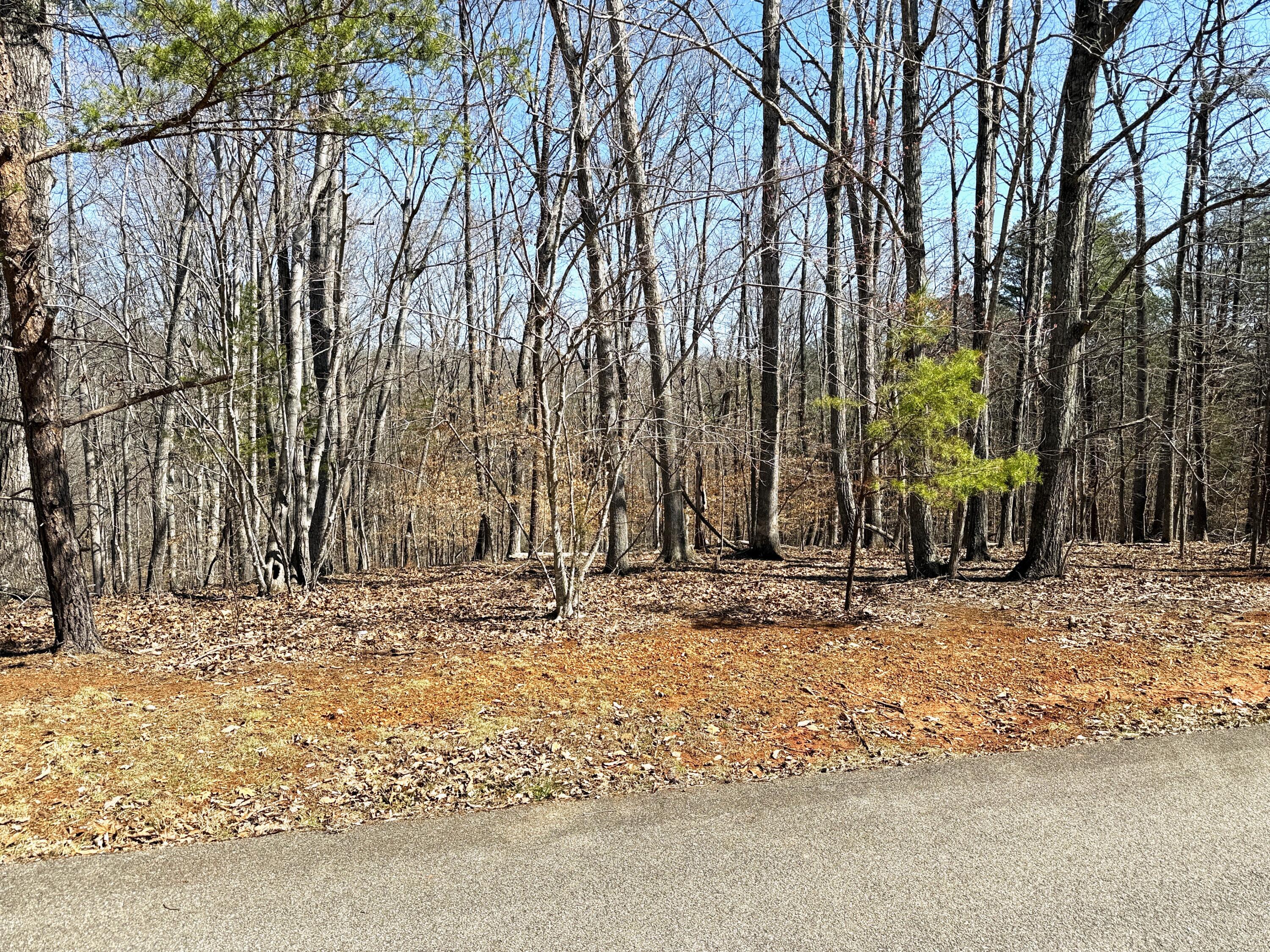Lot 19 Gap Bridge Road Moneta, VA 24121 - Photo 2 of 16 a view of snow on the side of a road