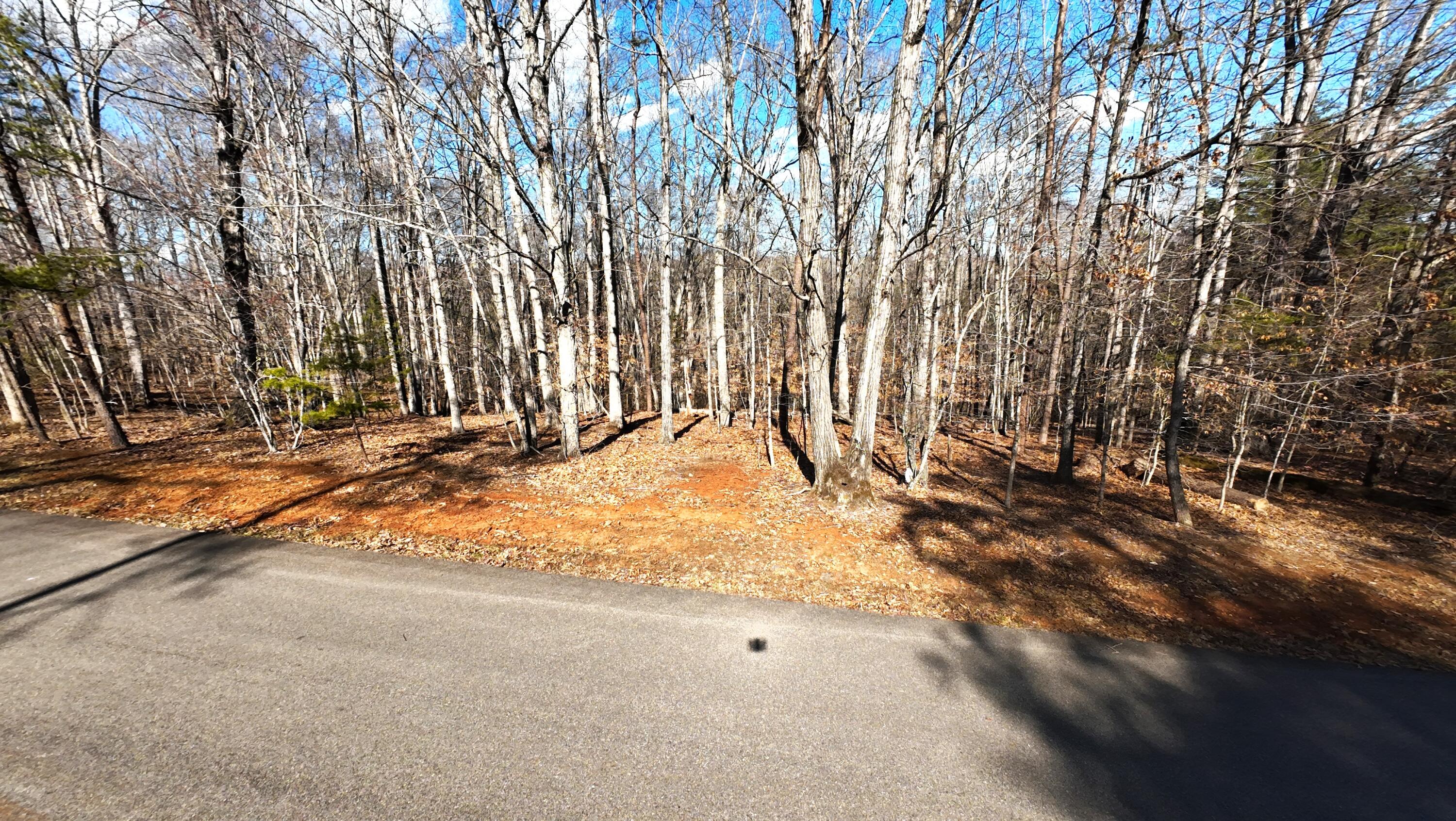 Lot 19 Gap Bridge Road Moneta, VA 24121 - Photo 3 of 16 a view of yard and basketball court