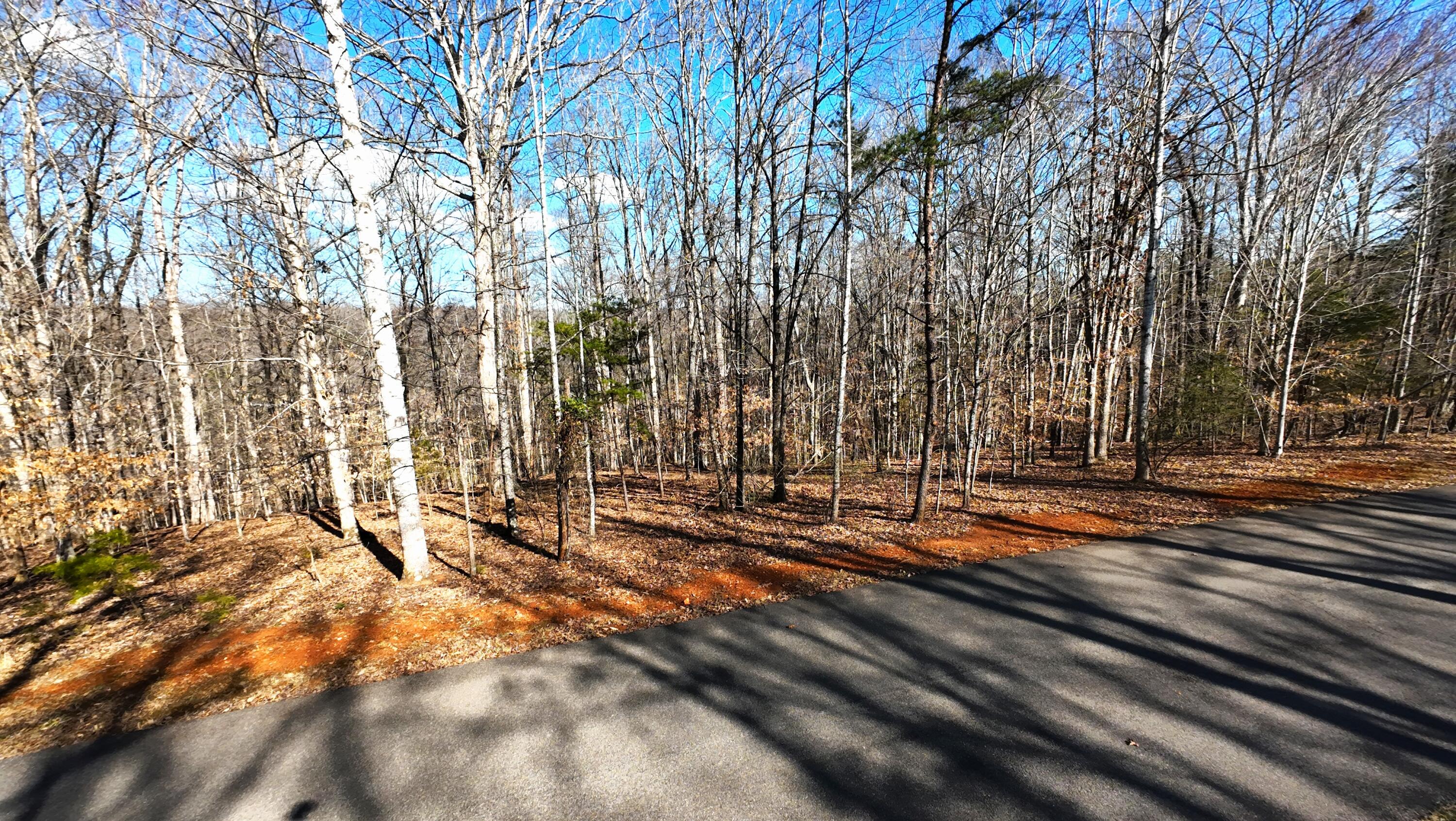 Lot 19 Gap Bridge Road Moneta, VA 24121 - Photo 4 of 16 a view of a yard with large trees