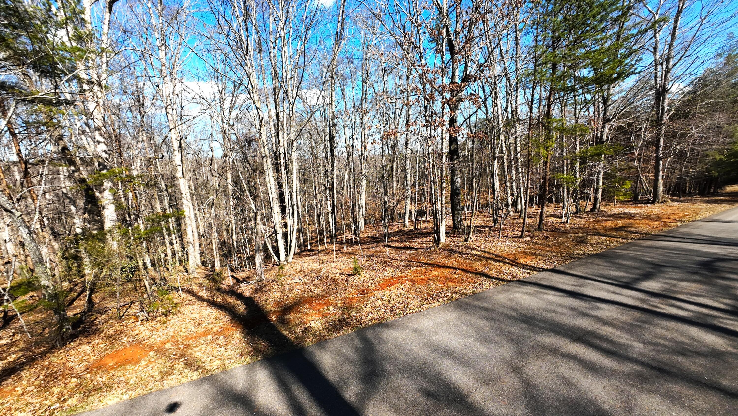 Lot 19 Gap Bridge Road Moneta, VA 24121 - Photo 5 of 16