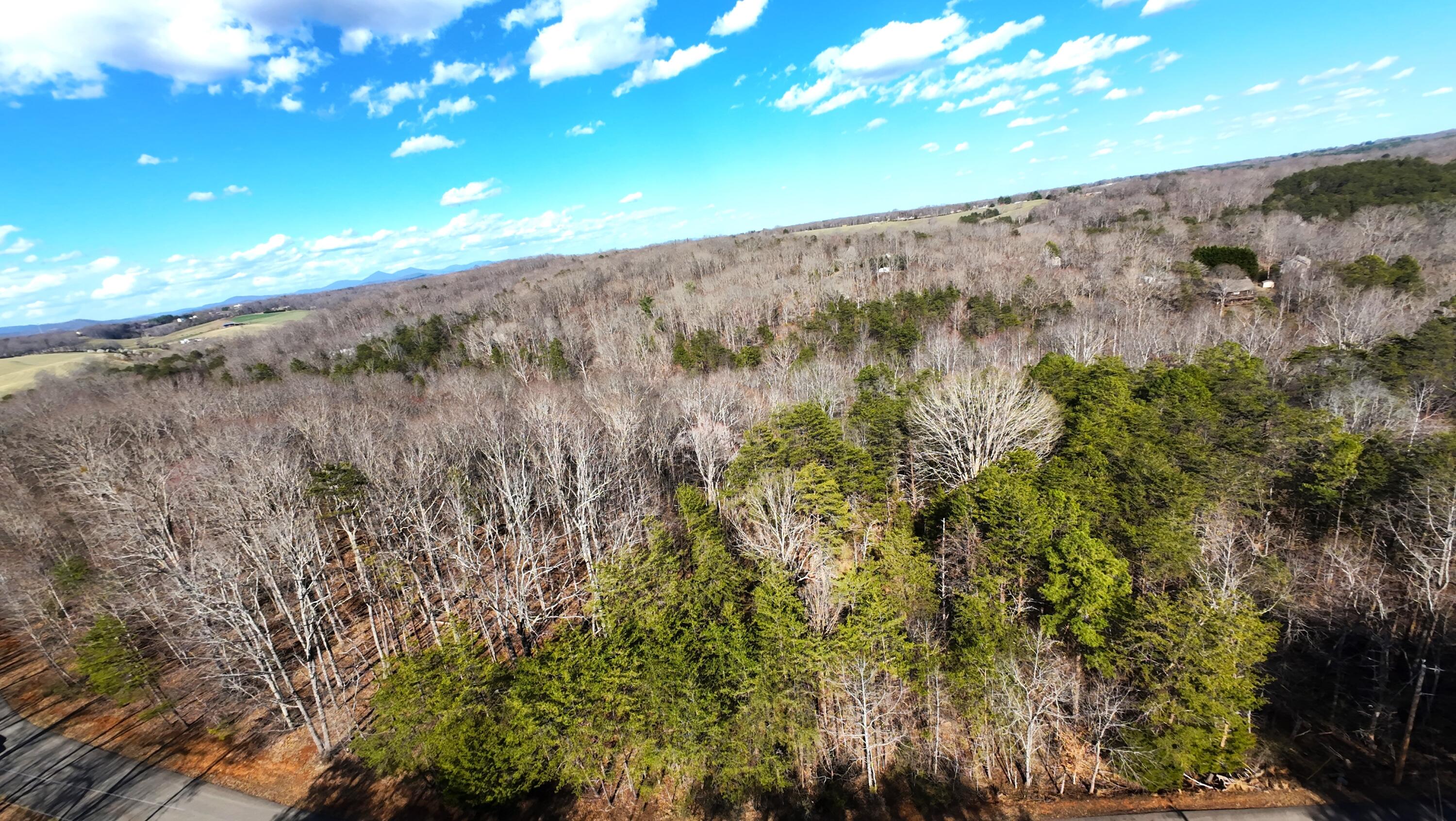 Lot 19 Gap Bridge Road Moneta, VA 24121 - Photo 6 of 16 a view of a dry yard with wooden fence