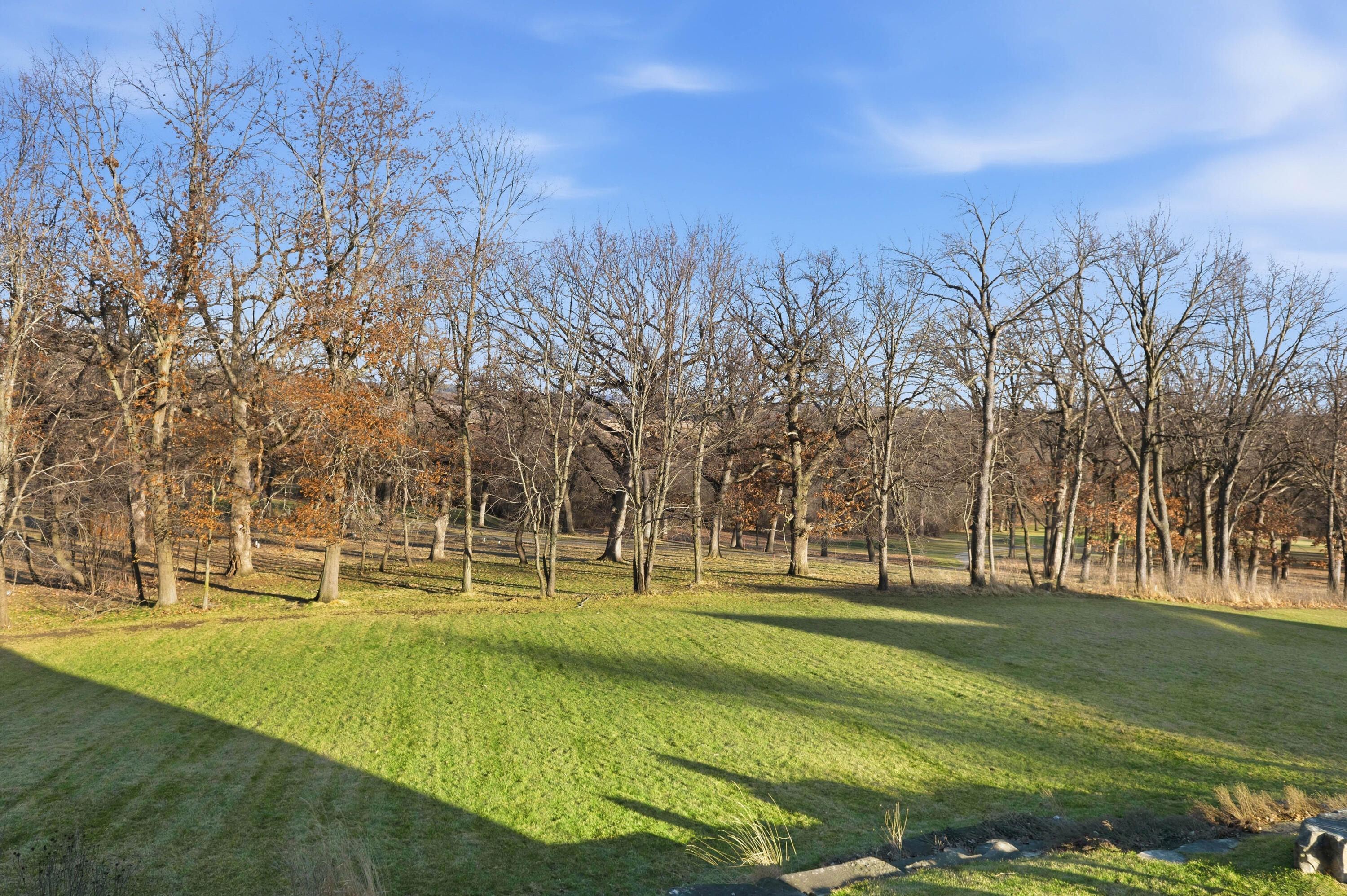 111 Legend Way Wales, WI 53183 - Photo 53 of 72 Backyard