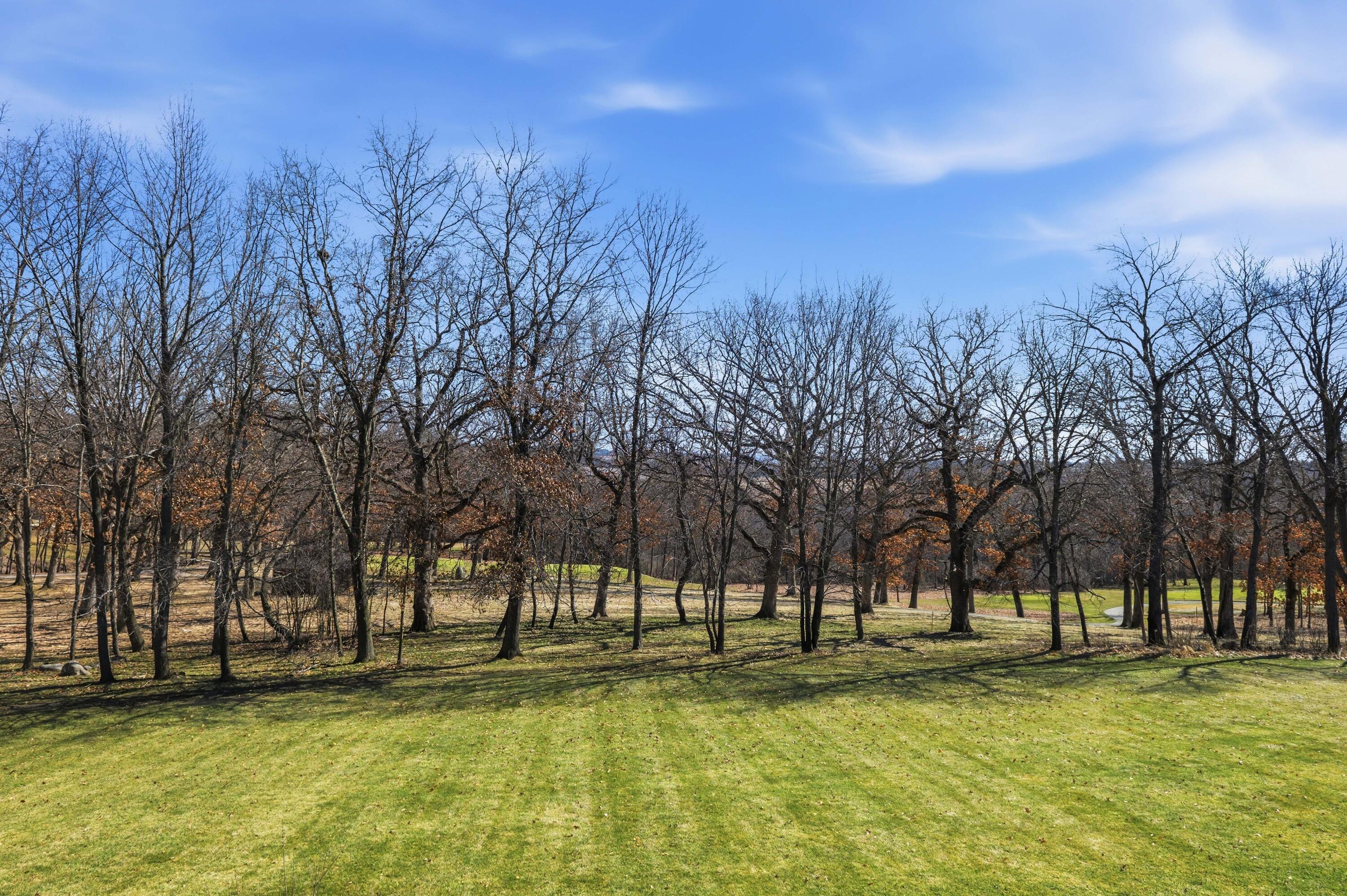 111 Legend Way Wales, WI 53183 - Photo 65 of 72 Backyard