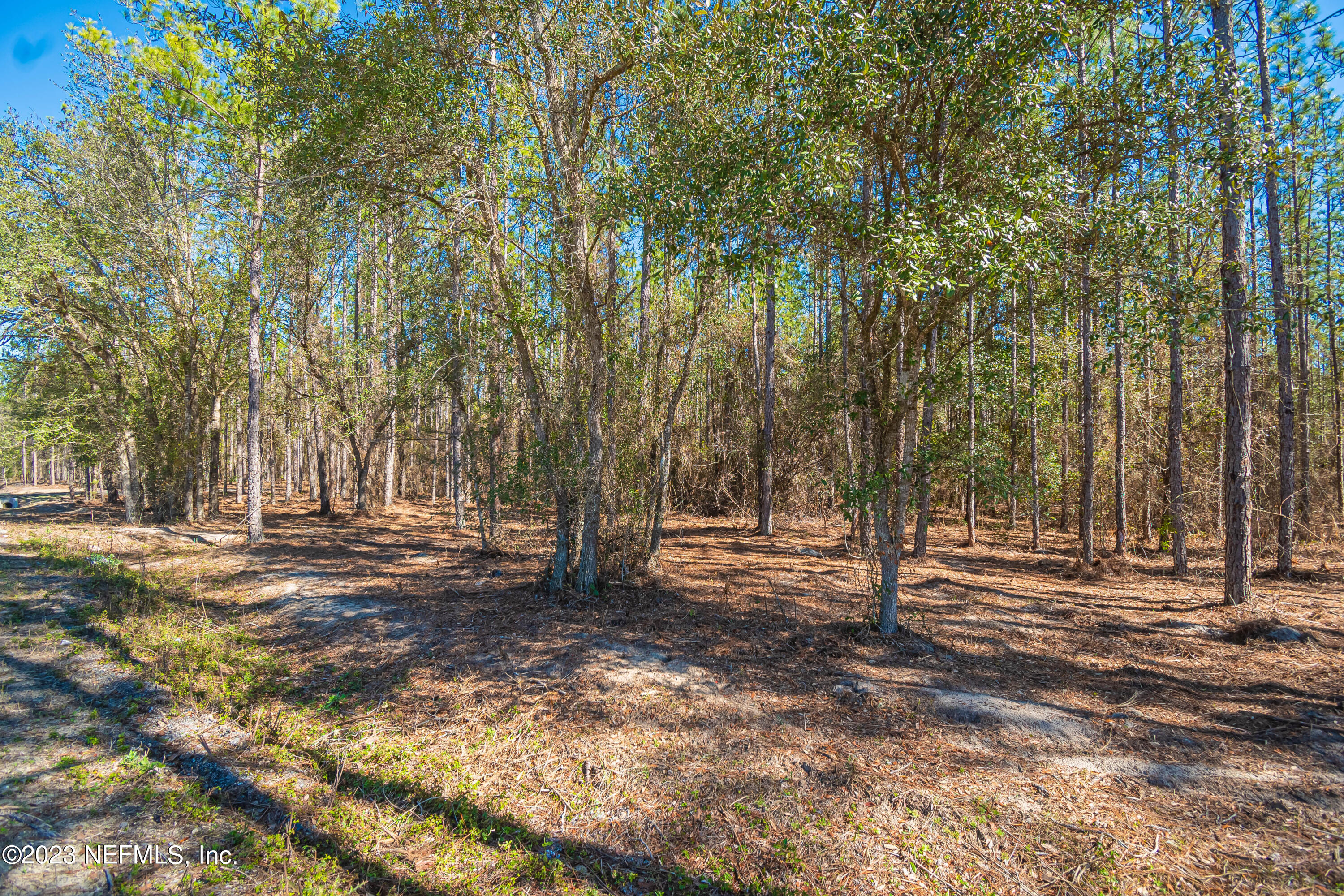 Lot 7 Stokes Road Macclenny, FL 32063 - Photo 2 of 10 untitled-3534