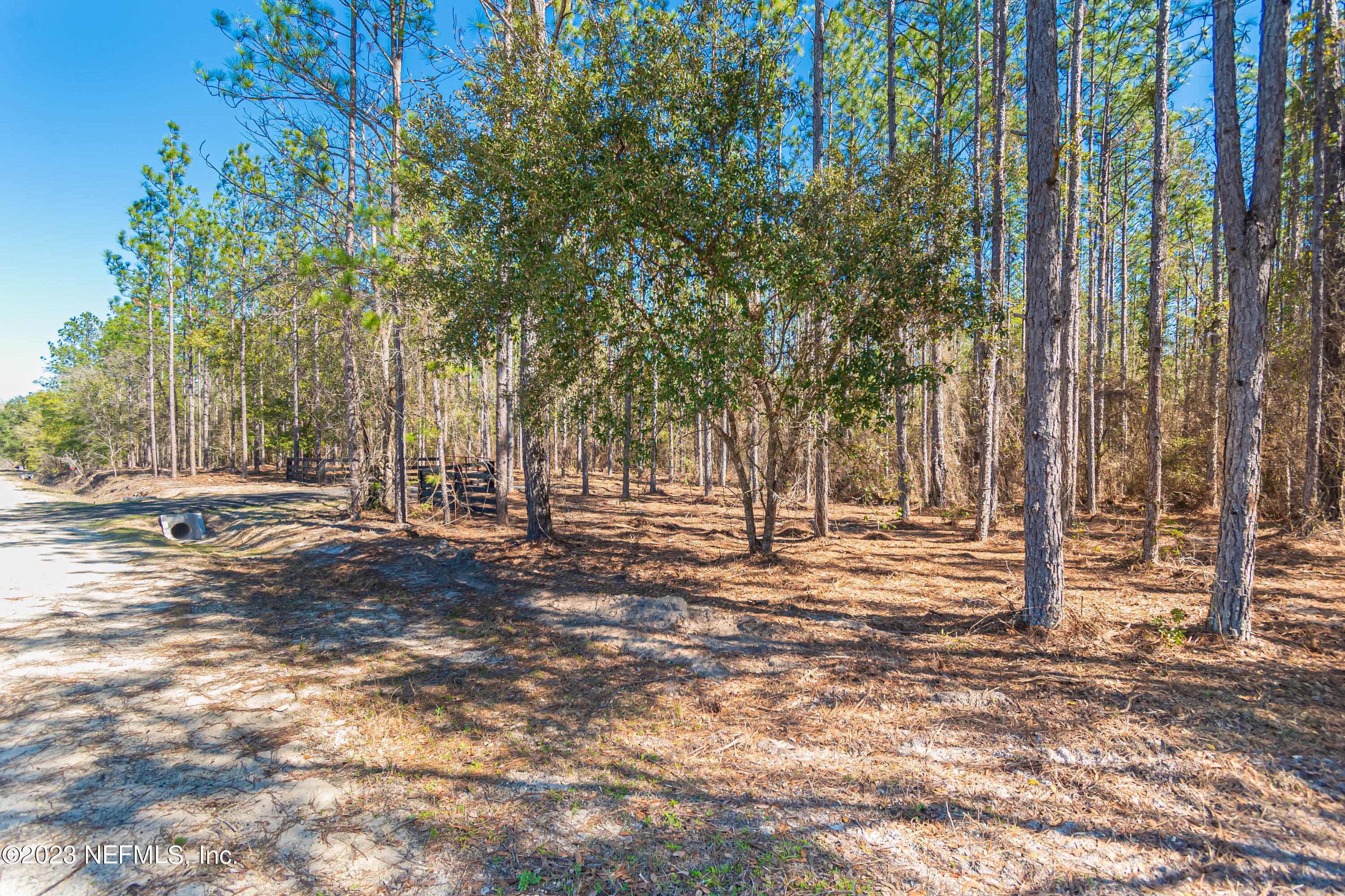 Lot 7 Stokes Road Macclenny, FL 32063 - Photo 3 of 10 untitled-3537