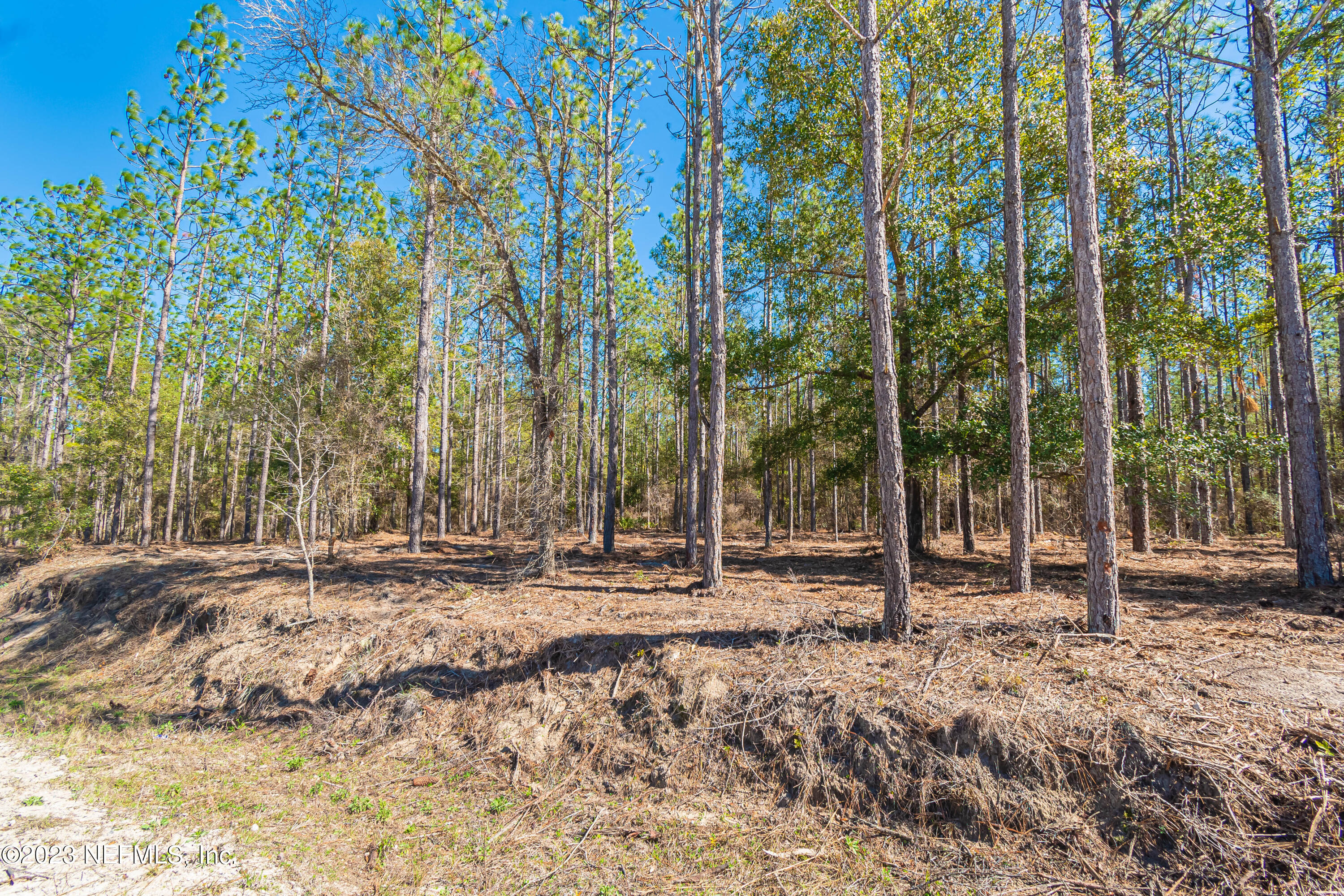 Lot 7 Stokes Road Macclenny, FL 32063 - Photo 8 of 10 untitled-3566
