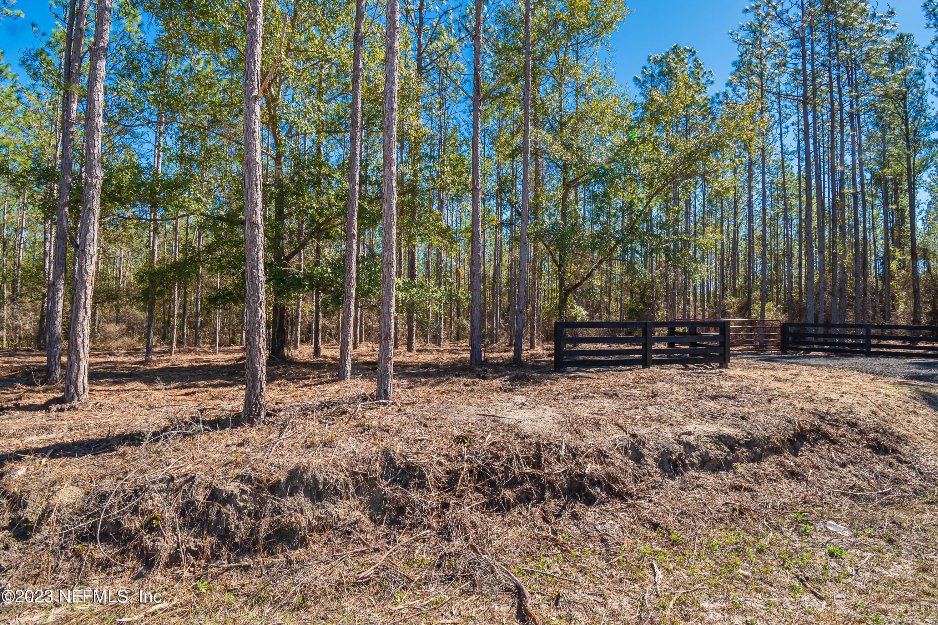 Lot 7 Stokes Road Macclenny, FL 32063 - Photo 9 of 10 untitled-3568