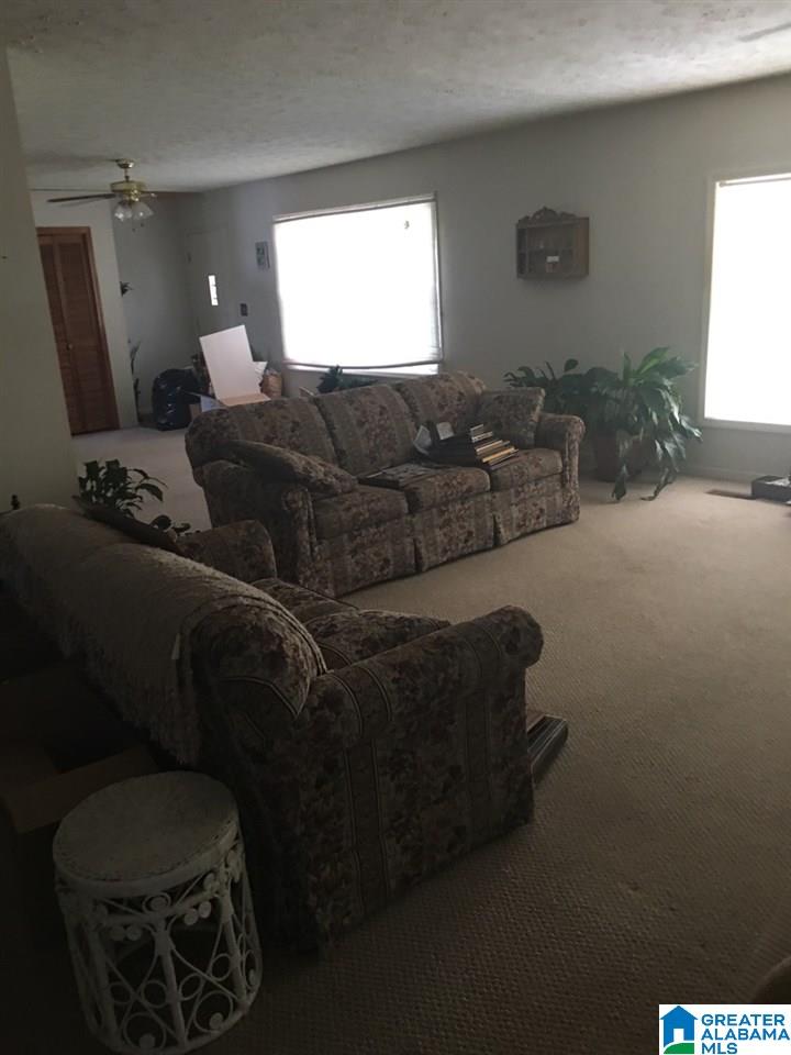 900 Center Point Road Sylacauga, AL 35151 - Photo 3 of 20 Gallery Image 3