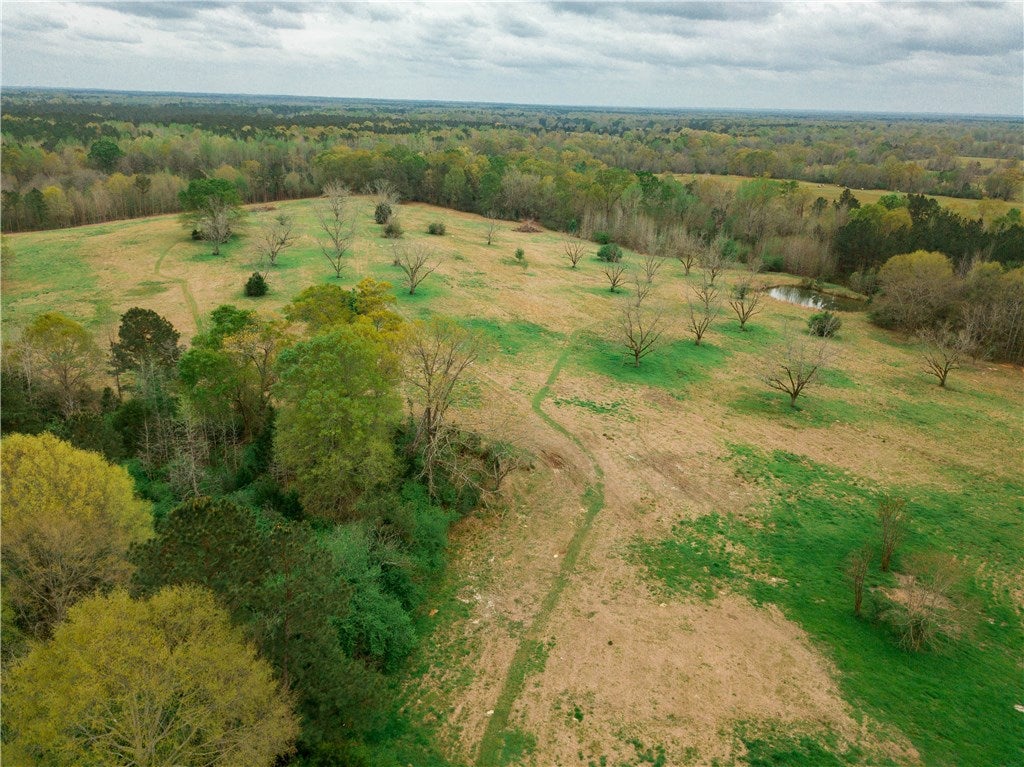 1295 Torrence Road Tuskegee, AL 36083 - Photo 26 of 42 Gallery Image 26