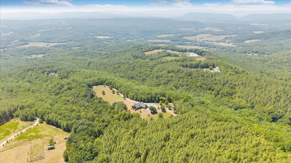890 Blain Road Buchanan, VA 24066 - Photo 79 of 89 79-DJI_20260703155309_0017_D