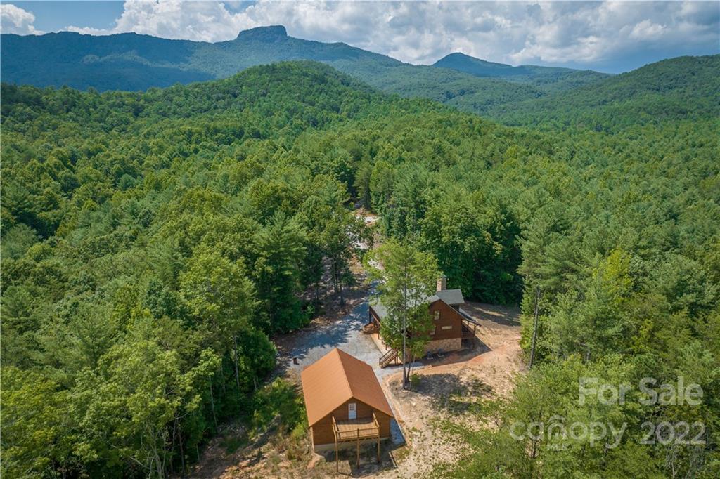 5200 Wild Turkey Way Morganton, NC 28655 - Photo 3 of 43