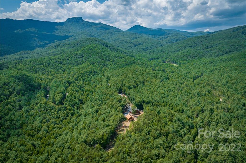 5200 Wild Turkey Way Morganton, NC 28655 - Photo 38 of 43