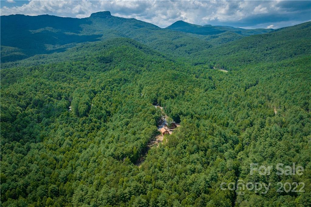 5200 Wild Turkey Way Morganton, NC 28655 - Photo 39 of 43