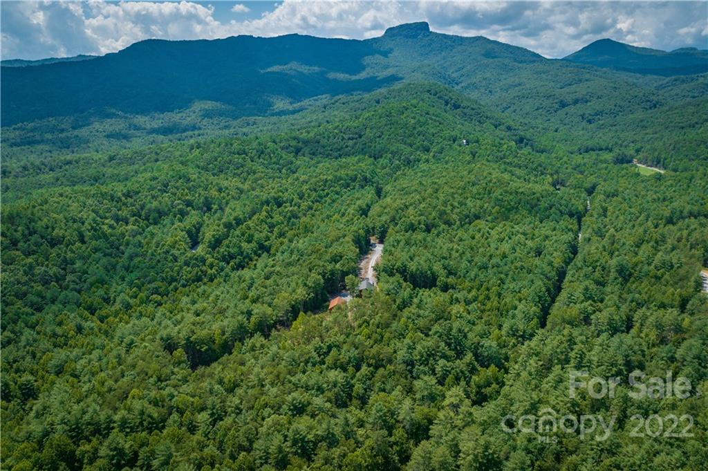 5200 Wild Turkey Way Morganton, NC 28655 - Photo 40 of 43