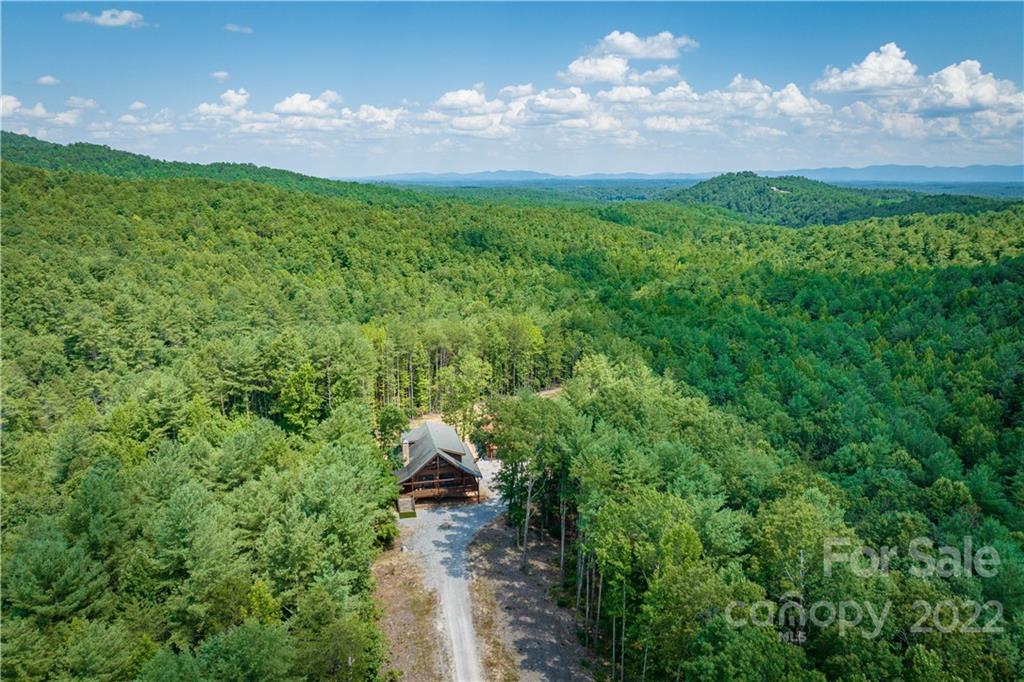 5200 Wild Turkey Way Morganton, NC 28655 - Photo 9 of 43