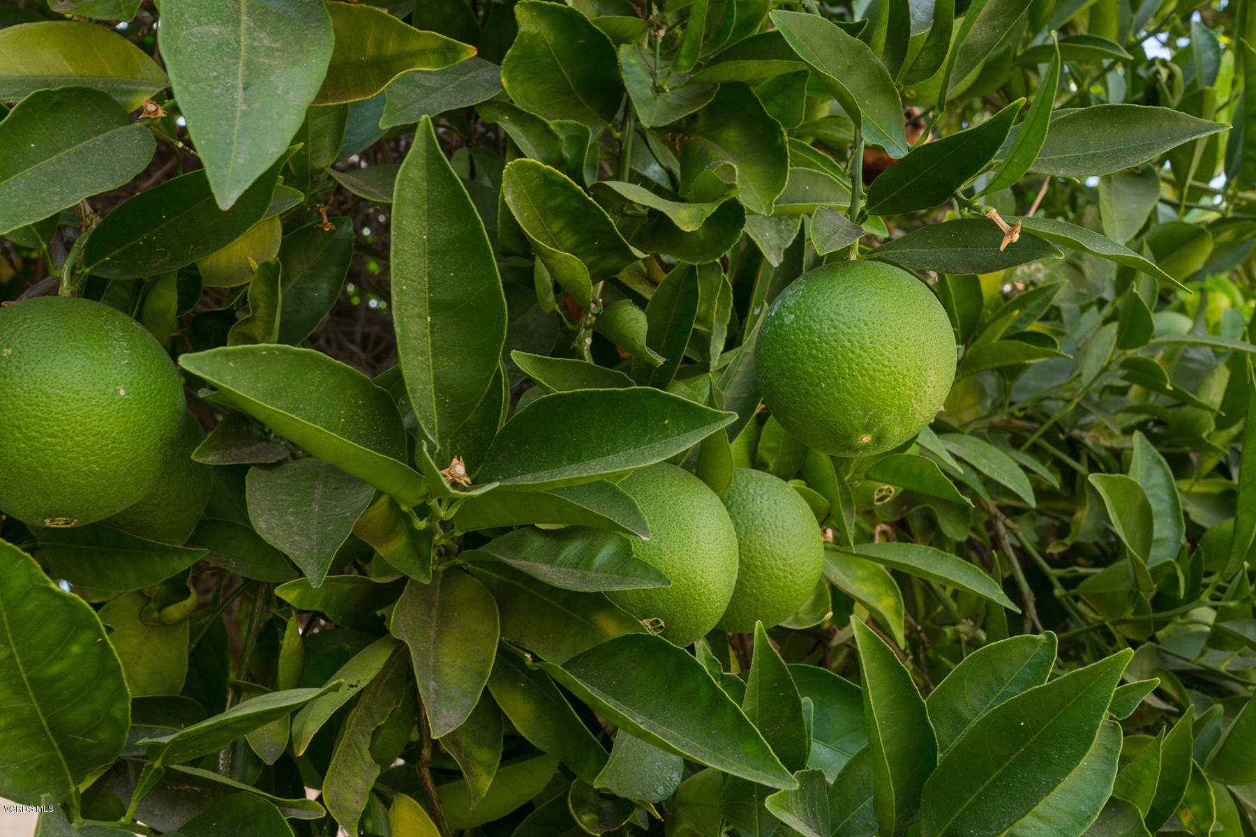 19700 Strathern Street Winnetka, CA 91306 - Photo 25 of 25