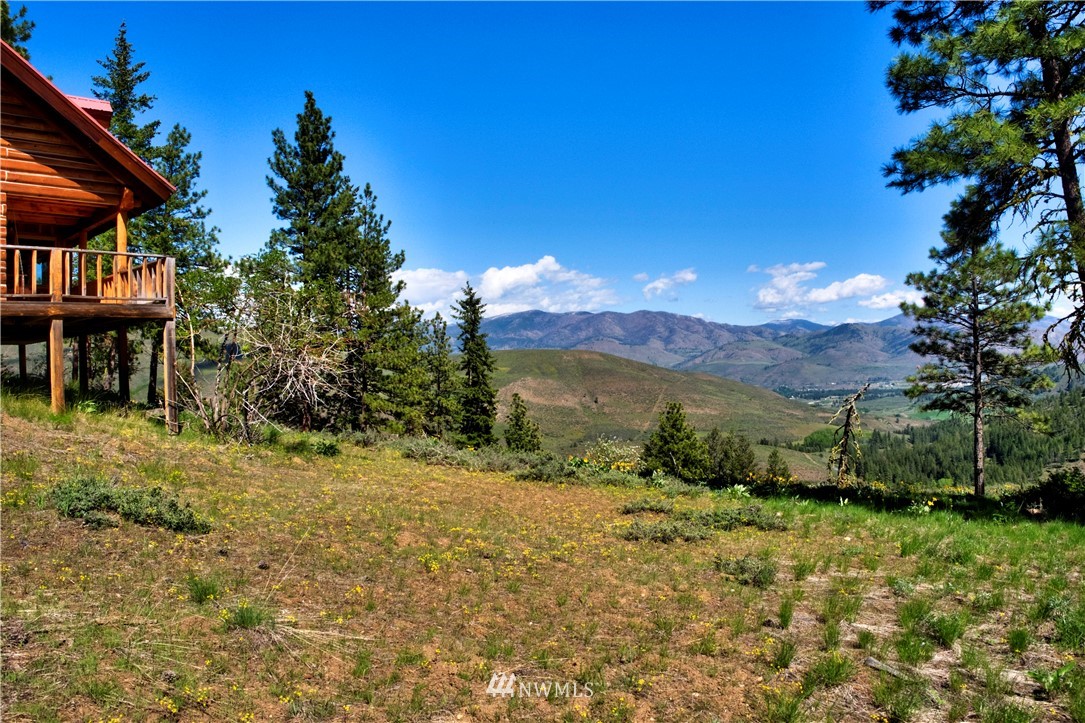 28 Nighthawk Ridge Road Winthrop, WA 98862 - Photo 2 of 40 Gallery Image 2
