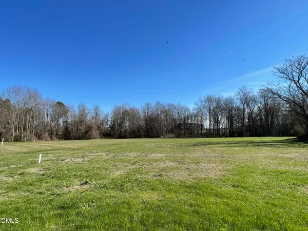a view of outdoor space with trees all around