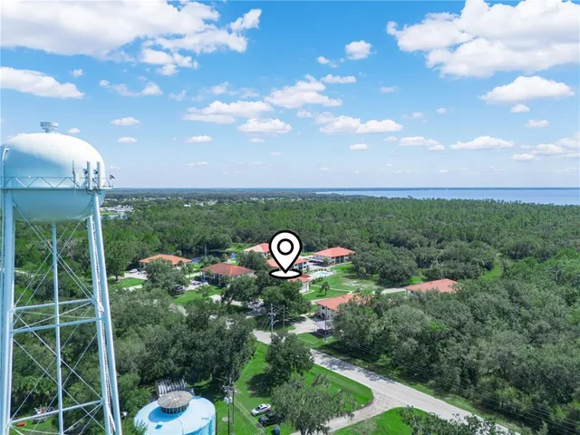 a view of a garden with a bench in the back yard
