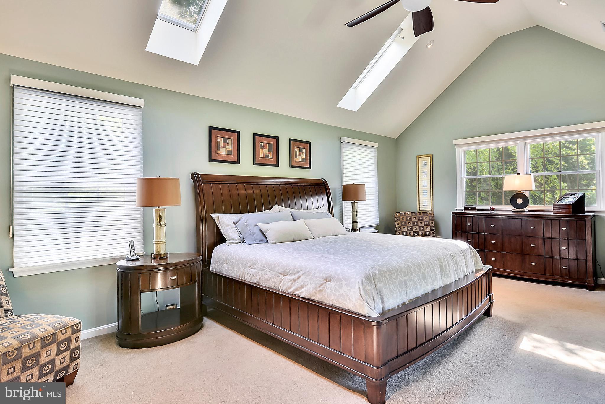14628 Jaystone Drive Silver Spring, MD 20905 - Photo 21 of 30 Master bedroom w/ vaulted ceilings & skylights