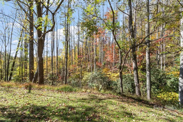 a view of small yard