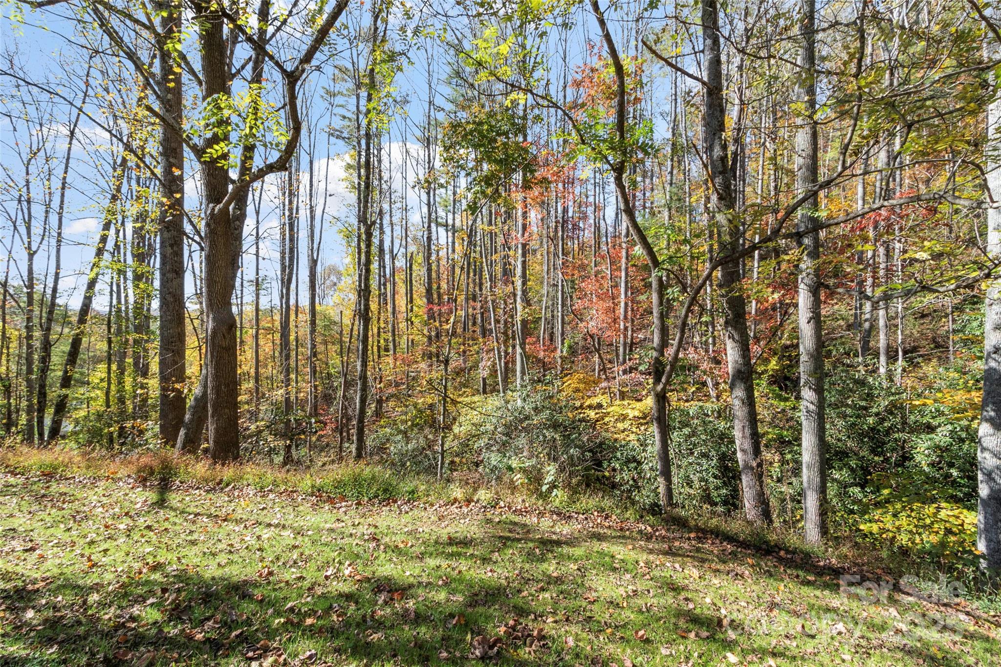 96 Thompson Road Spruce Pine, NC 28777 - Photo 3 of 34