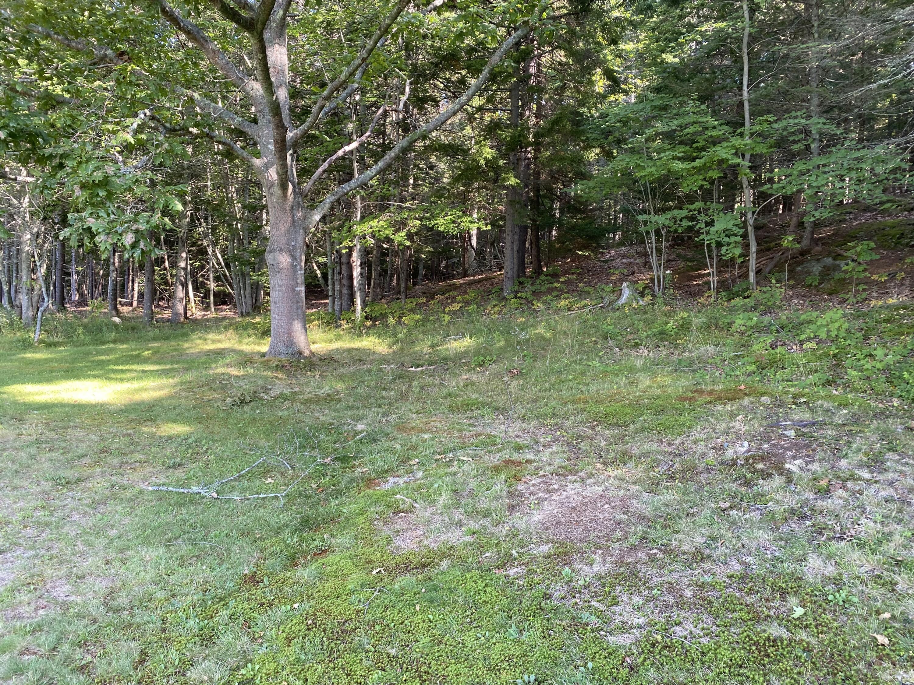 240 Ashville Road Gouldsboro, ME 04607 - Photo 9 of 21 1