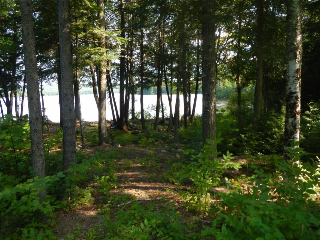Tbd Tbd Eskutassis & Spruce Point Road Lowell, ME 04493 - Photo 21 of 23 Photo