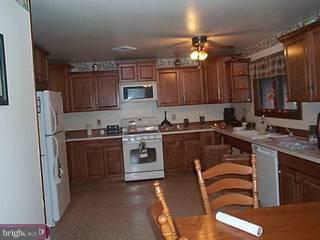 641 Burlington Road Pittsgrove, NJ 08318 - Photo 4 of 6 Gallery Image 4
