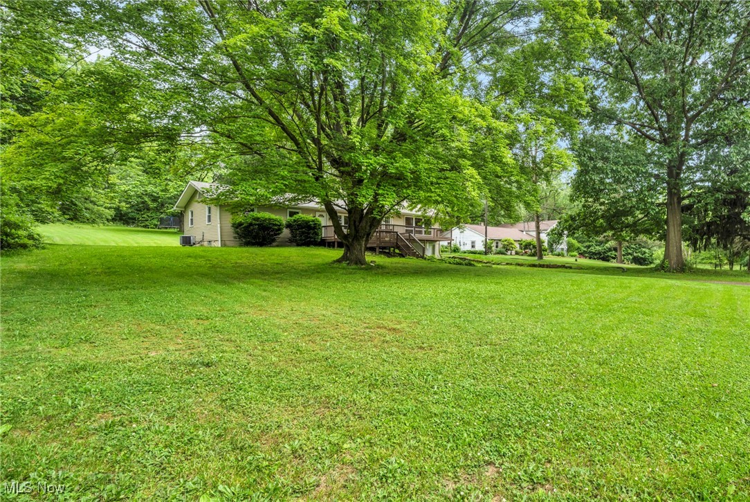 3954 Homestead Road Ravenna, OH 44266 - Photo 6 of 46 View of grassy yard featuring view of scattered trees