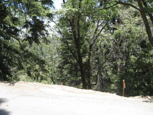 $6,900 | 0 Forest Lane, Twin Peaks, CA 92391