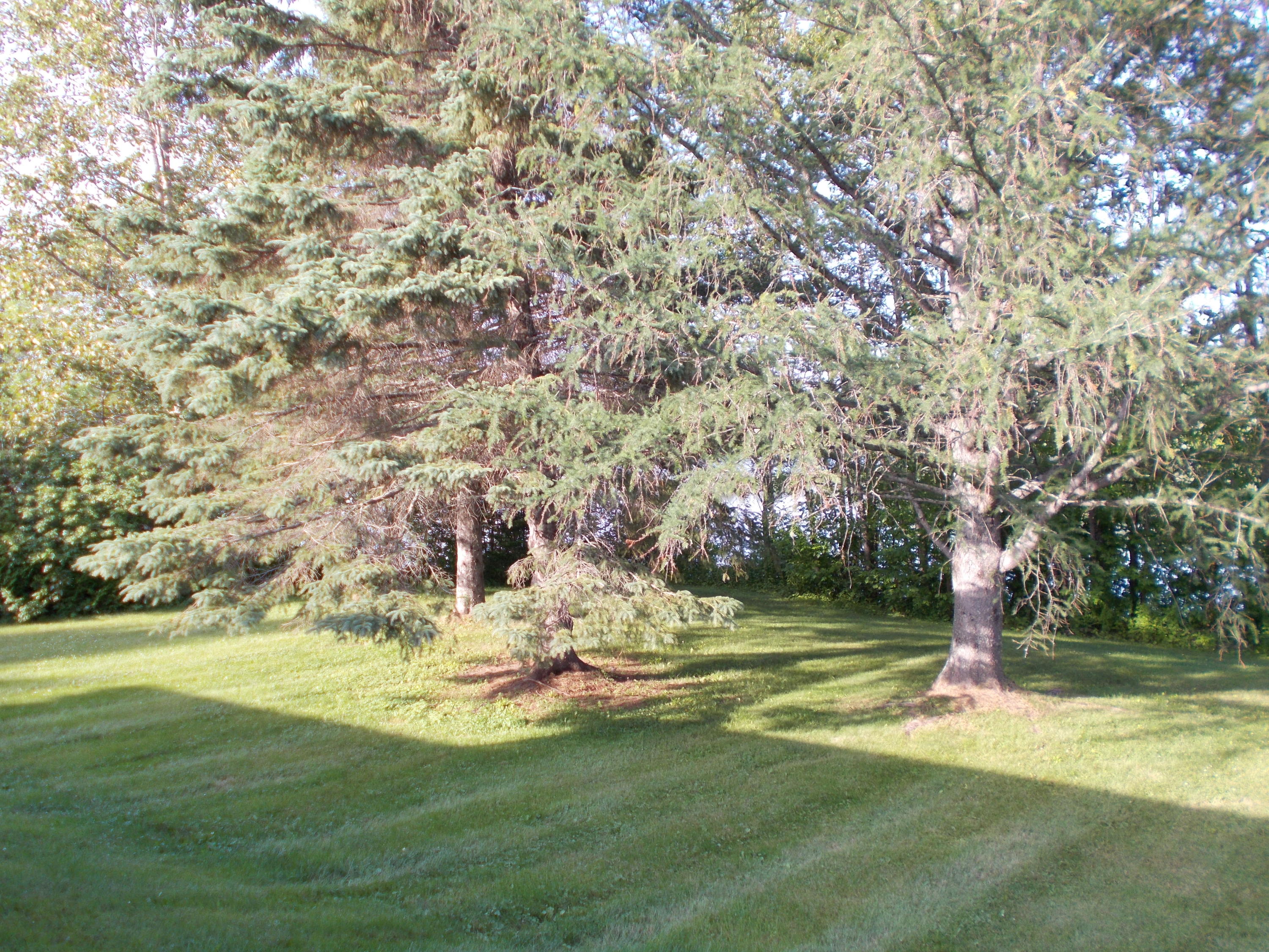 710 Hamlin Road Hamlin, ME 04785 - Photo 35 of 42 DSCN7992