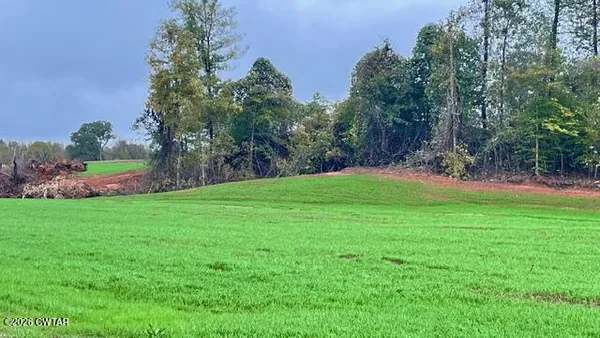 a view of a backyard with palm trees