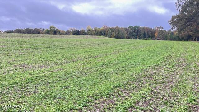 0 Medon Malesus Road Medon, TN 38356 - Photo 11 of 29 IMG_2801