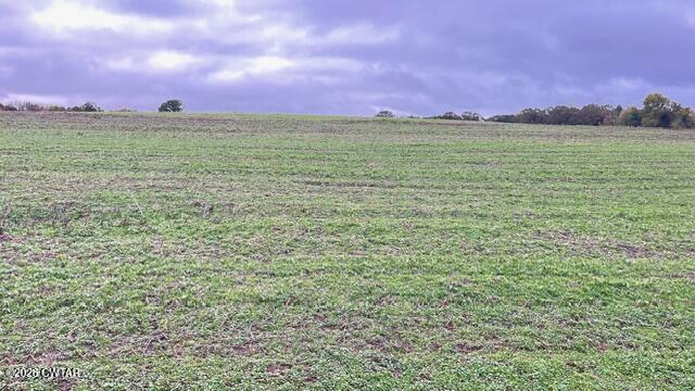 0 Medon Malesus Road Medon, TN 38356 - Photo 12 of 29 IMG_2802