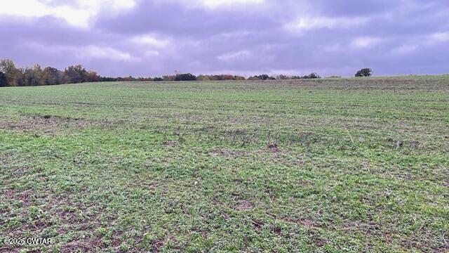 0 Medon Malesus Road Medon, TN 38356 - Photo 13 of 29 IMG_2803