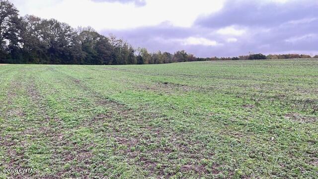 0 Medon Malesus Road Medon, TN 38356 - Photo 14 of 29 IMG_2804