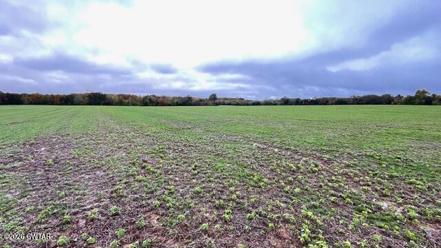 0 Medon Malesus Road Medon, TN 38356 - Photo 17 of 29 IMG_2815