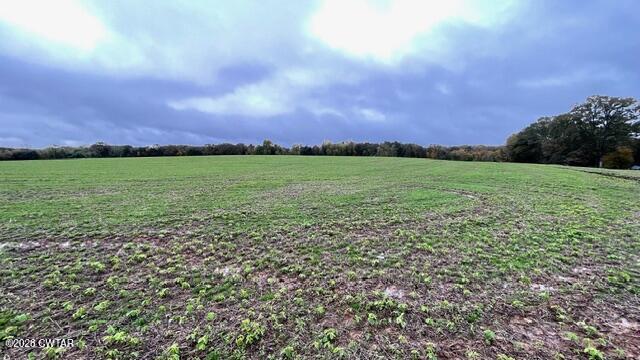 0 Medon Malesus Road Medon, TN 38356 - Photo 18 of 29 IMG_2817