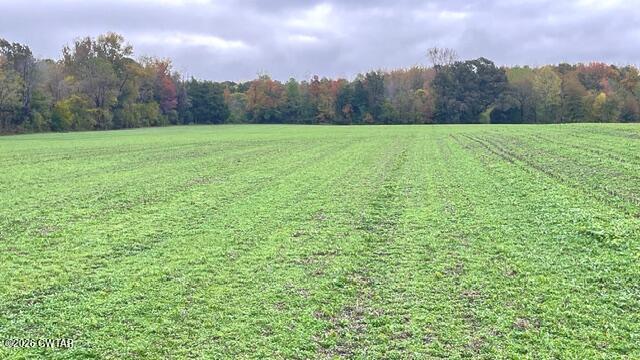 0 Medon Malesus Road Medon, TN 38356 - Photo 20 of 29 IMG_2823