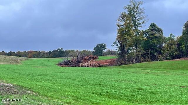 0 Medon Malesus Road Medon, TN 38356 - Photo 2 of 29 IMG_2787