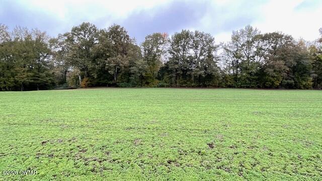 0 Medon Malesus Road Medon, TN 38356 - Photo 21 of 29 IMG_2826