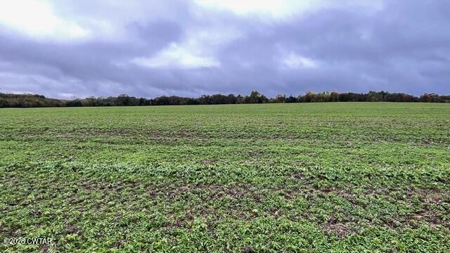 0 Medon Malesus Road Medon, TN 38356 - Photo 22 of 29 IMG_2827