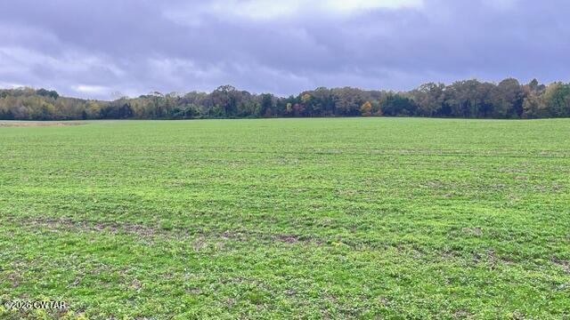 0 Medon Malesus Road Medon, TN 38356 - Photo 23 of 29 IMG_2828