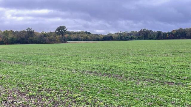 0 Medon Malesus Road Medon, TN 38356 - Photo 24 of 29 IMG_2829