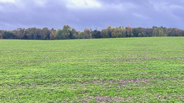 0 Medon Malesus Road Medon, TN 38356 - Photo 25 of 29 IMG_2830